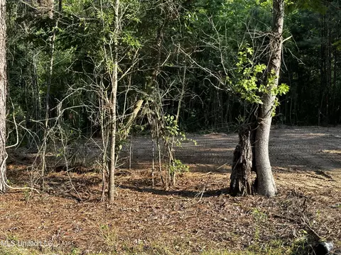 207 Church Rd, Brandon, MS 39047