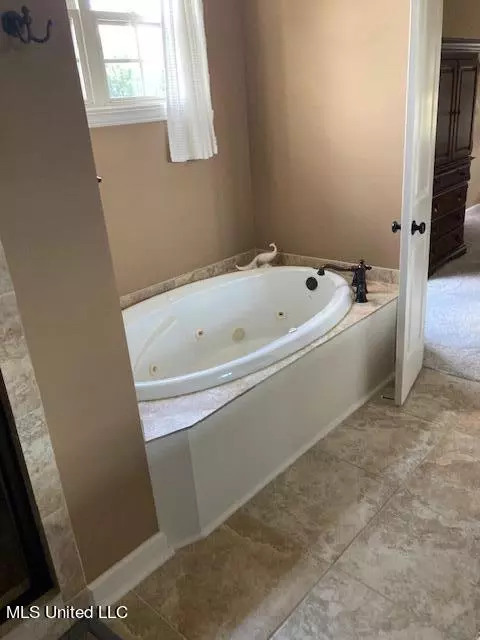 Bath - 178 Winter Oaks, Lamar, MS 38642 photo 1 of 1