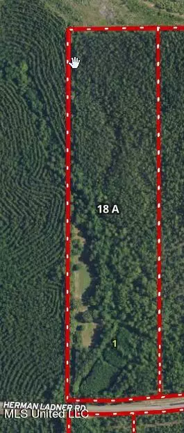Herman Ladner Road, Saucier, MS 39574 photo 7