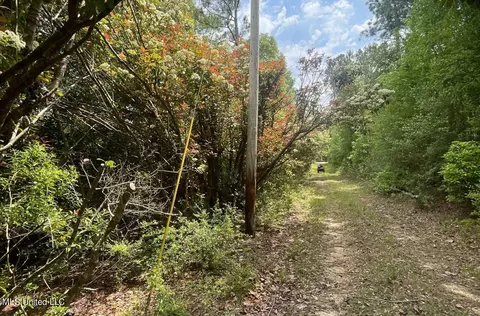 Herman Ladner Road, Saucier, MS 39574 photo 4