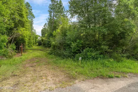 Herman Ladner Road, Saucier, MS 39574 photo 12