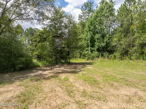 Herman Ladner Road, Saucier, MS 39574 photo 17