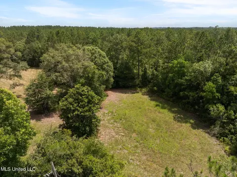 Herman Ladner Road, Saucier, MS 39574 photo 14