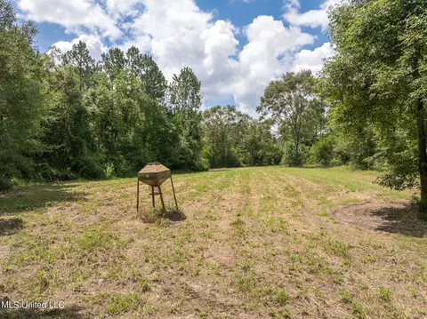 Herman Ladner Road, Saucier, MS 39574 photo 15