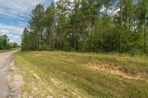 Herman Ladner Road, Saucier, MS 39574 photo 11