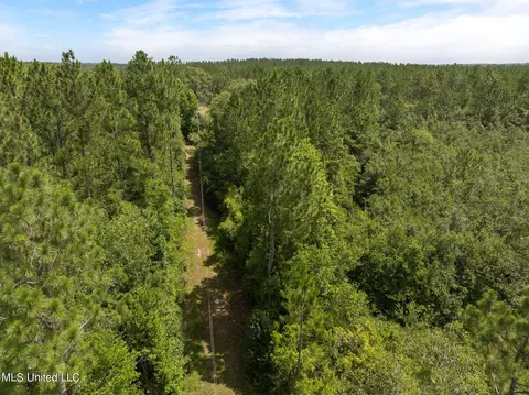 Herman Ladner Road, Saucier, MS 39574 photo 13