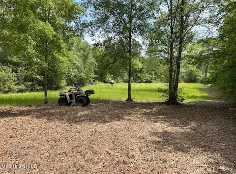 Herman Ladner Road, Saucier, MS 39574 photo 2