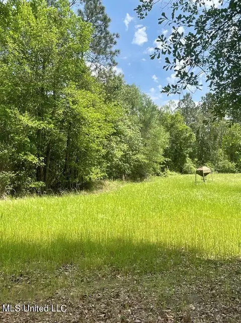 Herman Ladner Road, Saucier, MS 39574 photo 5