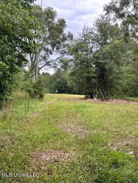 Herman Ladner Road, Saucier, MS 39574 photo 9