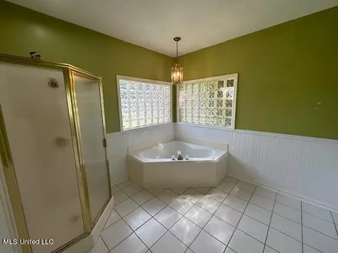 Bath - 256 Hillcrest Dr, Brandon, MS 39042 photo 1 of 8
