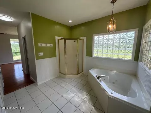 Bath - 256 Hillcrest Dr, Brandon, MS 39042 photo 3 of 8