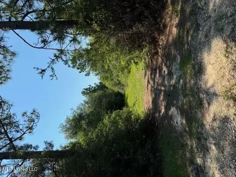 422 Dumas Bailey Rd, Picayune, MS 39466