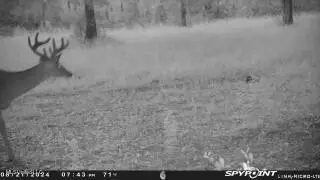 0 Esther Rd, Saucier, MS 39574 photo 11