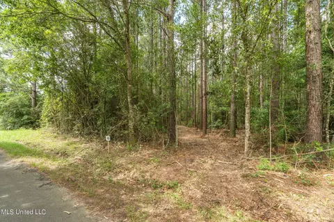 0 Esther Rd, Saucier, MS 39574 photo 3