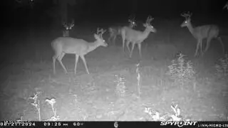0 Esther Rd, Saucier, MS 39574 photo 6