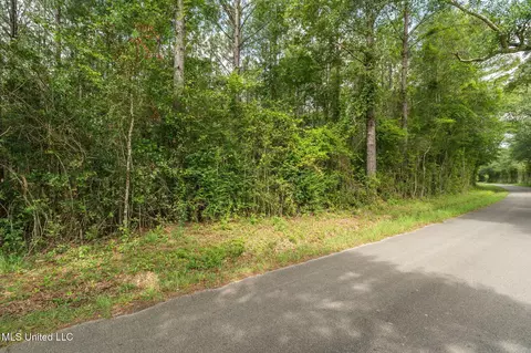 Esther Road, Saucier, MS 39574 photo 6