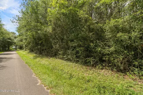 Esther Road, Saucier, MS 39574 photo 3