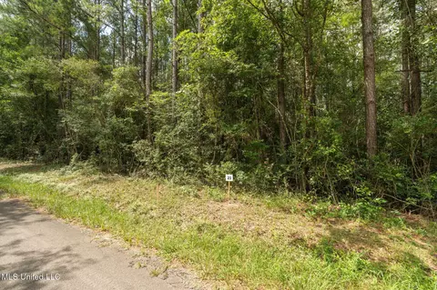 Esther Road, Saucier, MS 39574 photo 4