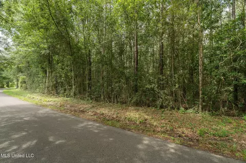 Esther Road, Saucier, MS 39574 photo 5