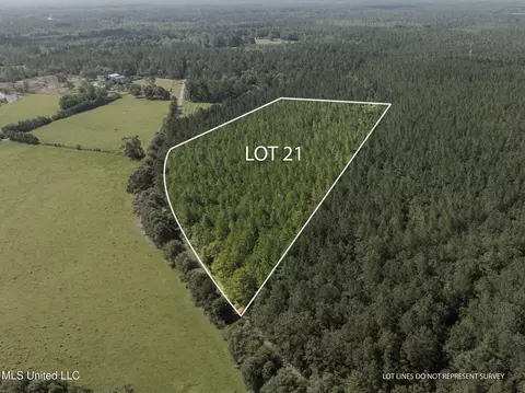 Esther Road, Saucier, MS 39574