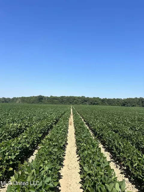 County Road 529, Morgan City, MS 38946