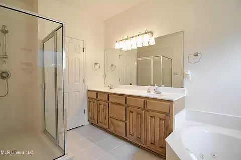 Bath - 4307 Bienville Rd, Nesbit, MS 38651 photo 2 of 3