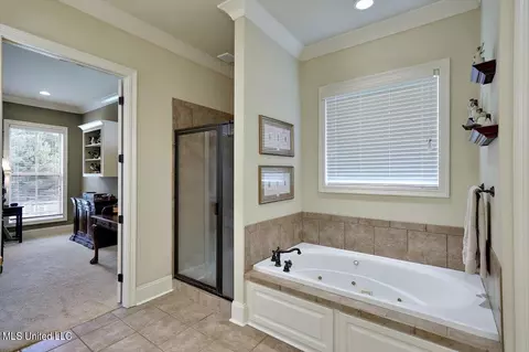 271 Lake Cir, Madison, MS 39110 photo 27