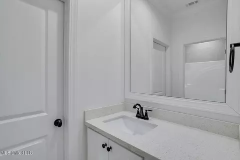 882 Long Leaf Cir, Brandon, MS 39042 photo 25