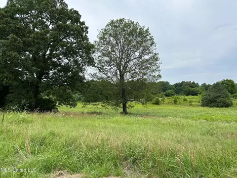 2235 Sycamore Rd, Coldwater, MS 38618 photo 2