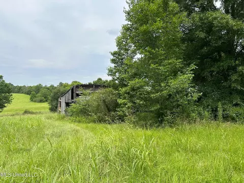 2 Sycamore Road, Coldwater, MS 38618 photo 3