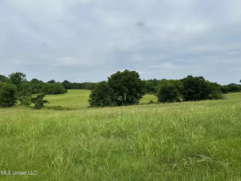 2 Sycamore Road, Coldwater, MS 38618 photo 2