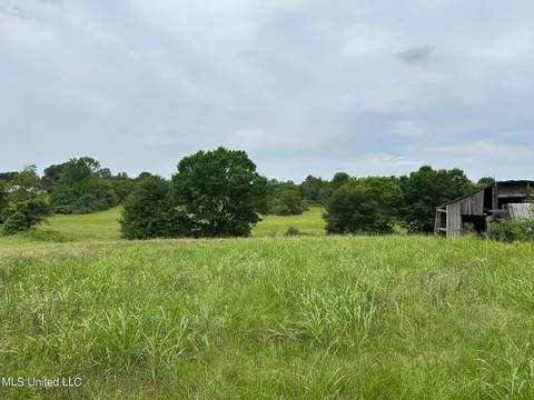 2 Sycamore Road, Coldwater, MS 38618