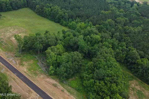5172 Sofia Ln, Hernando, MS 38632 photo 5