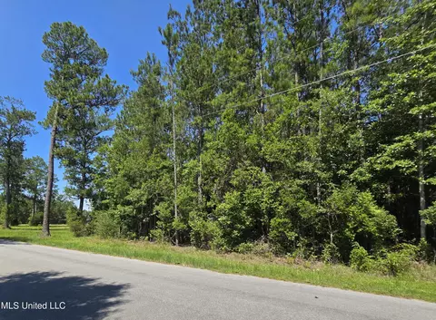 Kit Maples Road, Perkinston, MS 39573 photo 6