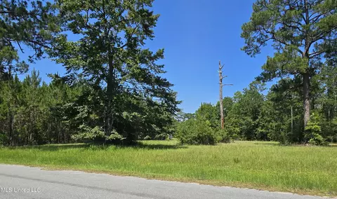 Kit Maples Road, Perkinston, MS 39573 photo 3