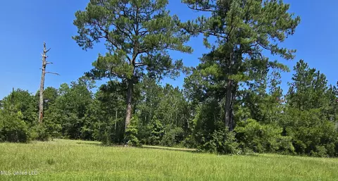 Kit Maples Road, Perkinston, MS 39573