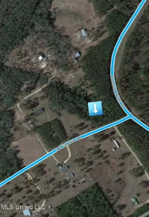 Kit Maples Road, Perkinston, MS 39573 photo 8