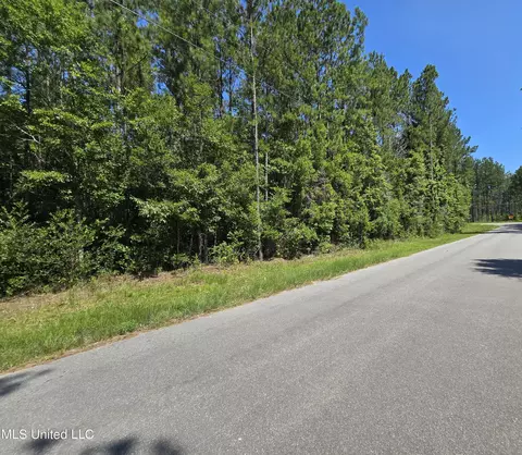 Kit Maples Road, Perkinston, MS 39573 photo 7