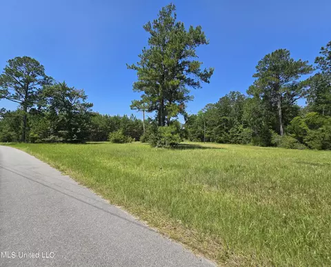 Kit Maples Road, Perkinston, MS 39573 photo 2
