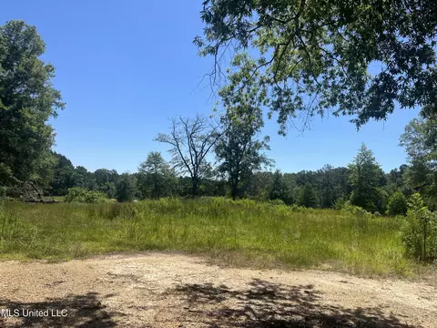 Pinola Braxton Rd, Braxton, MS 39044 photo 7
