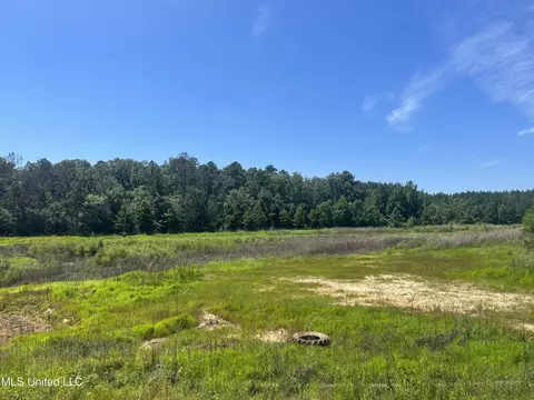 Pinola Braxton Rd, Braxton, MS 39044 photo 11