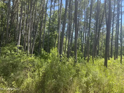Pinola Braxton Rd, Braxton, MS 39044 photo 4