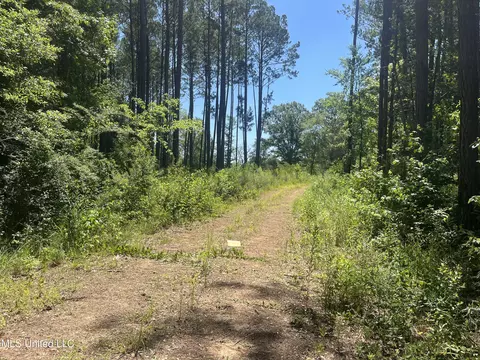 Pinola Braxton Rd, Braxton, MS 39044 photo 3