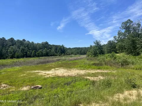 Pinola Braxton Rd, Braxton, MS 39044 photo 12