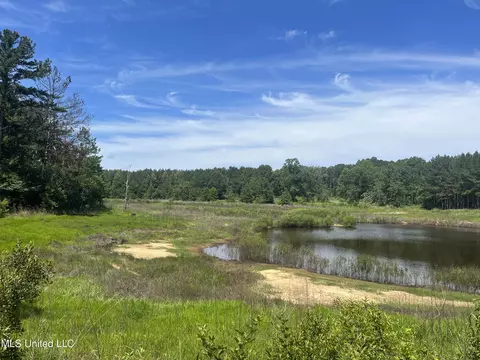 Pinola Braxton Rd, Braxton, MS 39044 photo 14