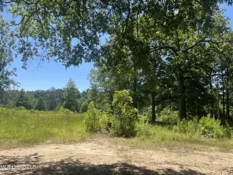 Pinola Braxton Rd, Braxton, MS 39044 photo 6