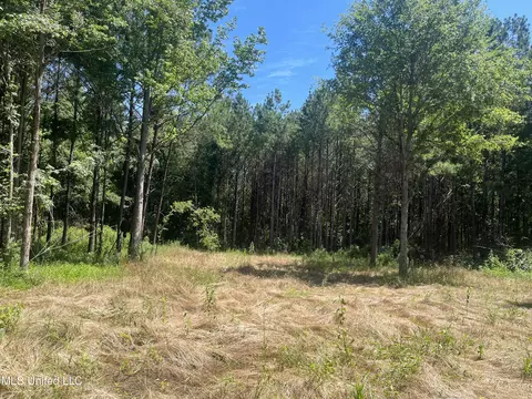 Pinola Braxton Rd, Braxton, MS 39044 photo 9