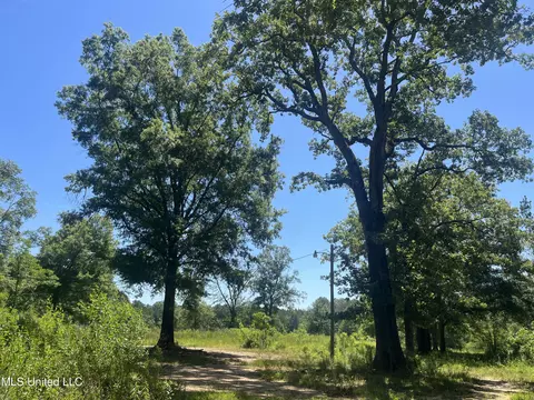 Pinola Braxton Rd, Braxton, MS 39044 photo 5
