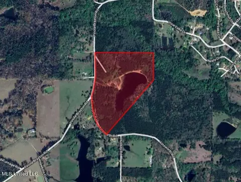 Pinola Braxton Rd, Braxton, MS 39044