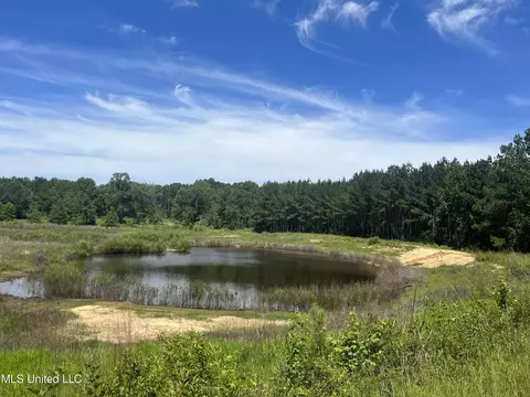 Pinola Braxton Rd, Braxton, MS 39044 photo 13